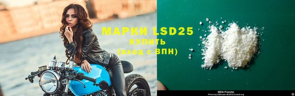 ПСИЛОЦИБИНОВЫЕ ГРИБЫ Белокуриха