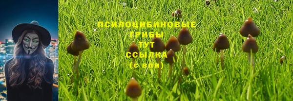таблы Белоозёрский