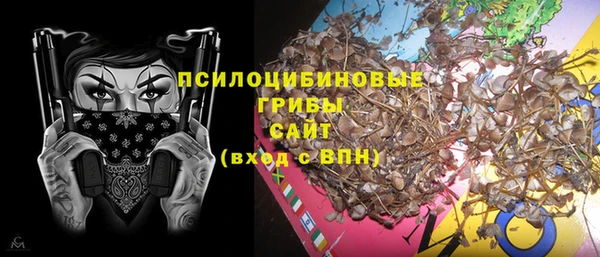 ПСИЛОЦИБИНОВЫЕ ГРИБЫ Белокуриха